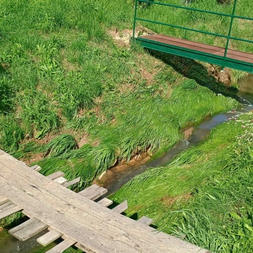 image-1545